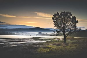 Elogio della noia: viaggiare al ritmo delle pause